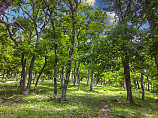 immobilier CHERNI VIT, LOVECH, Bulgarie
