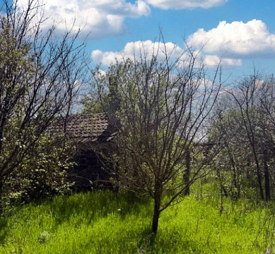 Старый дом площадью 80 кв.м., участок земли площадью 1200 кв.м., 2 км до моря.