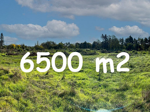 Земельный участок под застройку площадью 6500 кв. м, с водоснабжением и электричеством, в популярном поселке, в 25 км от моря.