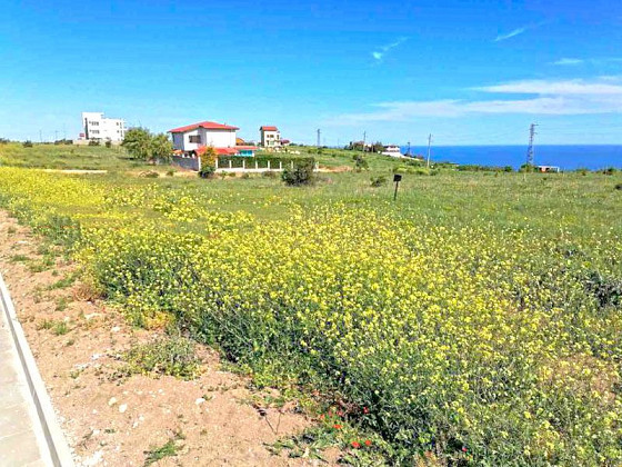 Terrain constructible de 669 m², en régularité, eau et électricité, vue mer, à 500 m de la mer