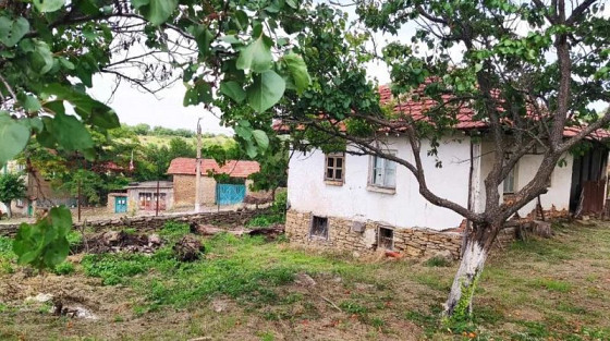 Charmante propriété bulgare avec bâtiments supplémentaires et jardin privé dans un village pittoresque, région de Lovetch