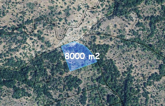 Forêt de 8 000 m², sans eau ni électricité, à 3 km du village de Tcherepovo