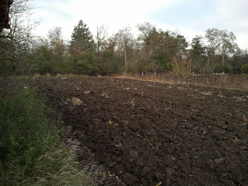 hous, Jardin 8000 m2, 15 km de Dobrich — photo 2