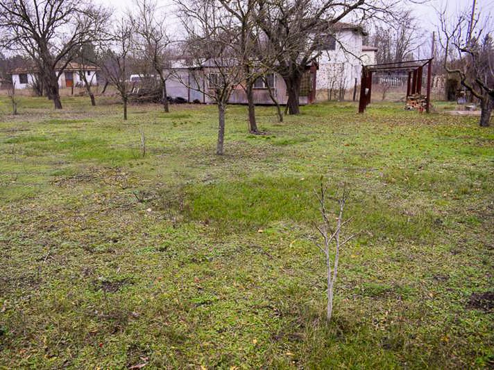 1660 sqm building plot, water and electricity in the plot, 60 fruit trees, 23 km to sea — photo 3