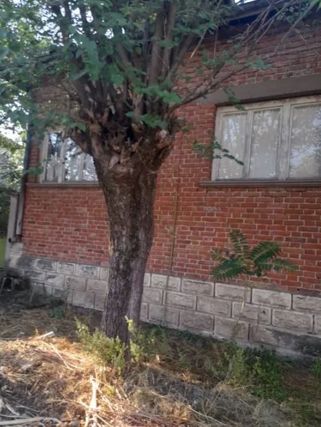 пїЅпїЅпїЅпїЅпїЅпїЅпїЅпїЅпїЅпїЅпїЅ пїЅпїЅпїЅпїЅпїЅпїЅпїЅпїЅпїЅпїЅпїЅ пїЅпїЅпїЅ пїЅ пїЅпїЅпїЅпїЅпїЅпїЅ пїЅ пїЅпїЅпїЅпїЅпїЅпїЅпїЅпїЅпїЅпїЅпїЅпїЅпїЅпїЅ пїЅпїЅпїЅпїЅпїЅпїЅпїЅпїЅпїЅпїЅпїЅ пїЅ 55 пїЅпїЅ пїЅпїЅ пїЅпїЅпїЅпїЅпїЅ, пїЅпїЅпїЅпїЅпїЅпїЅпїЅпїЅ. — фото 2