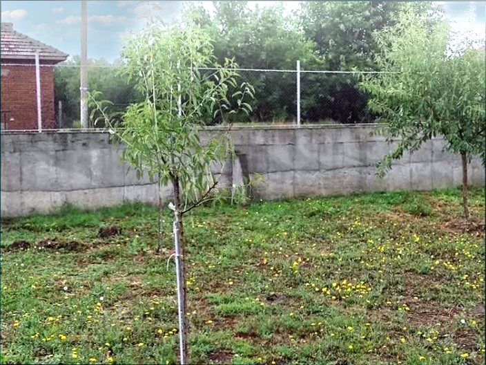 Меблированный дом площадью 100 кв.м., участок земли 1700 кв.м., 20 км от Силистры, Дунай — фото 2