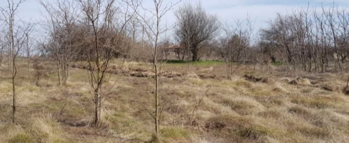 Maison de 80 m² à rénover, terrain de 4000 m², 18 km de la mer — photo 3