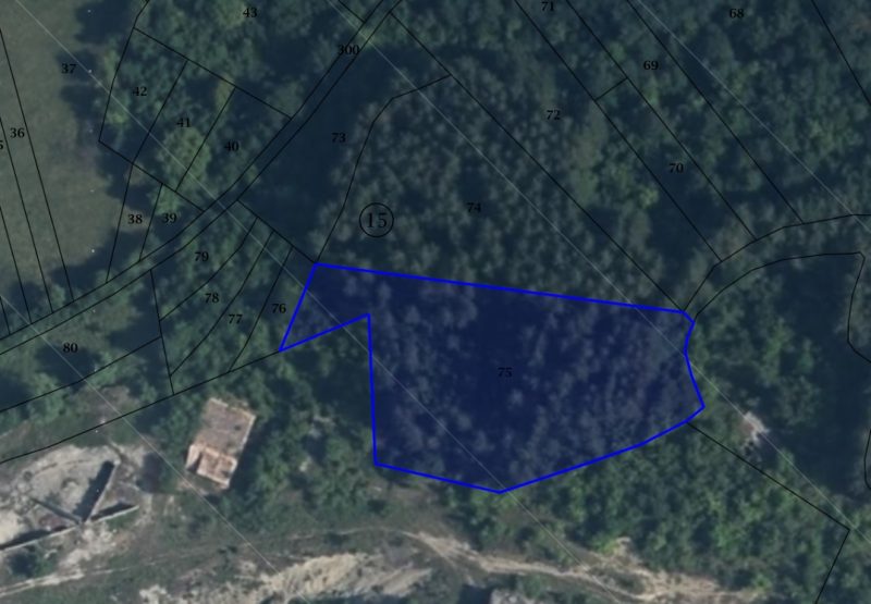 Propriété forestière de 3 630 m² à vendre – Village de montagne pittoresque, à 70 km de Sofia — photo 2