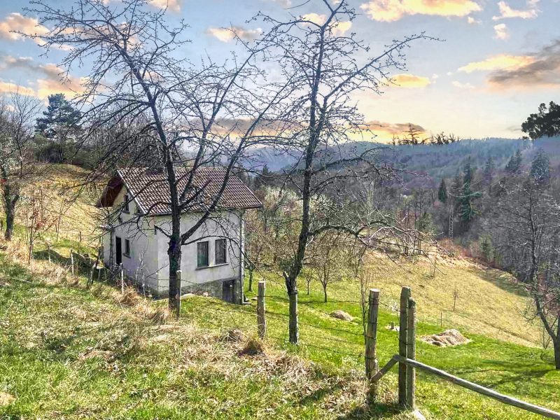 Двухэтажный дом площадью 130 кв.м., участок земли 2600 кв.м., в горах Родопы, живописная деревня, в 5 км от города Смолян. — фото 1