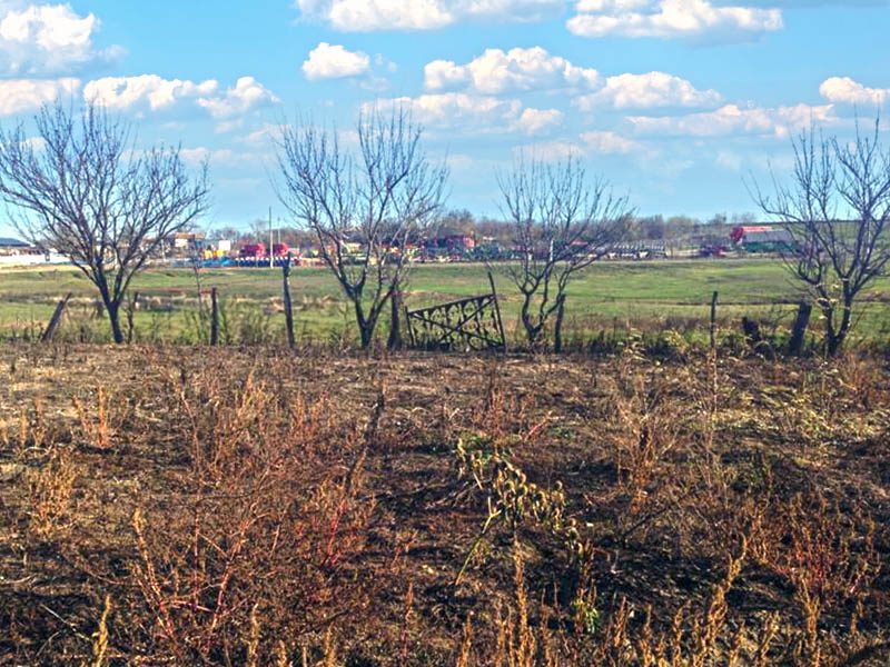 Участок под застройку 1126 кв.м., вода и электричество на границе, 12 км до Добрича, 52 км до моря. — фото 2