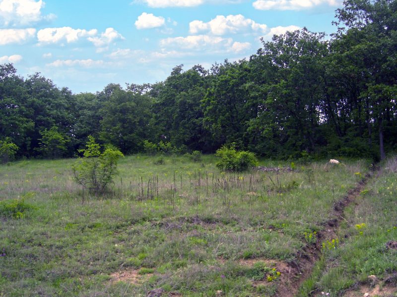 1000 sqm building plot, water and electricity at the border, 10 km to sea — photo 2