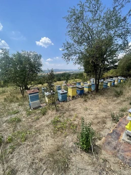 Propriété de village isolée avec vue panoramique et jardin privé à seulement 30 km de la ville de Sofia