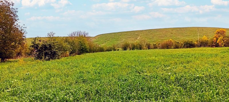 Участок под застройку площадью 5690 кв.м., в регуляции, вода и электричество на границе, 10 км до Добрича, 50 км до моря — фото 2