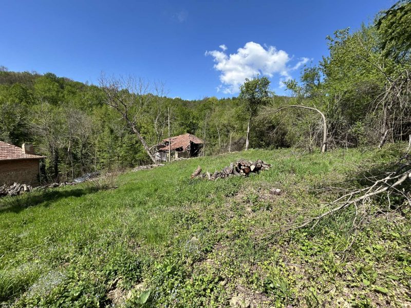 Charming Regulated Property with Authentic Stone Barn Only 10 km from Tryavna — photo 1