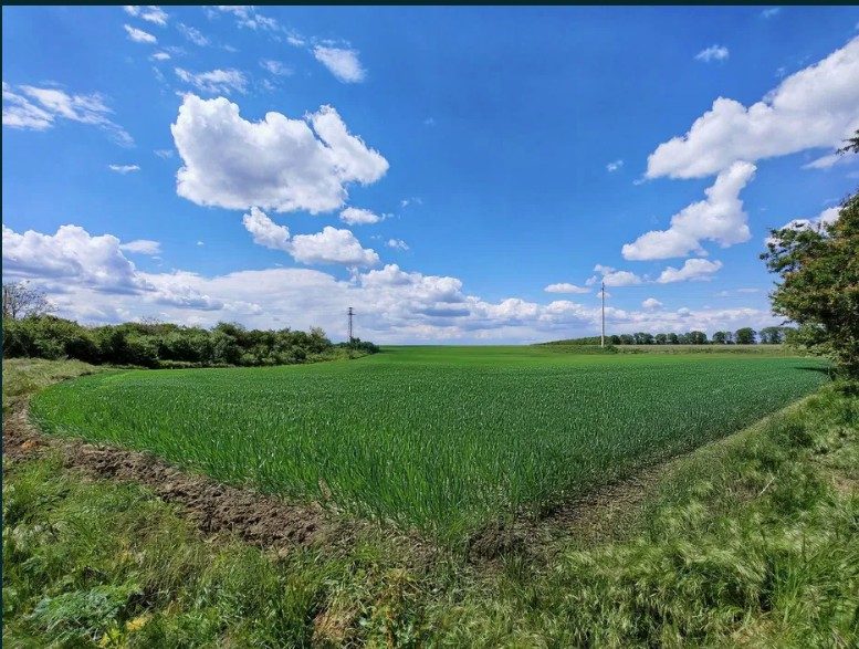 Terrain constructible de 2869 m², en bordure de village, à 10 km de la ville et à 70 km de la mer. — photo 2