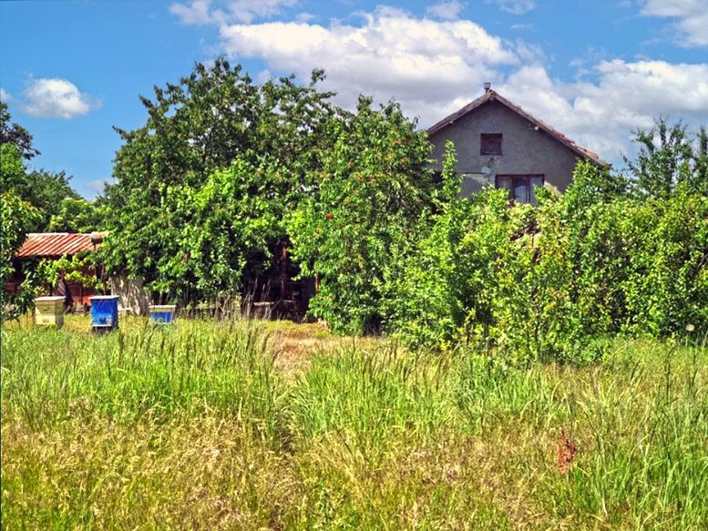 Дом площадью 34 кв.м, участок земли 1630 кв.м, 25 км до моря. — фото 1