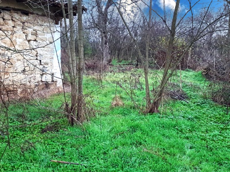 Maison de 70 m² à rénover ou à démolir, terrain de 1600 m², à 7 km de Dobritch et à 47 km de la mer. — photo 2