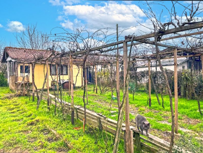 Villa de 45 m², terrain de 920 m², à 1 km du Danube — photo 2