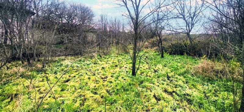 80 sqm house, 1150 sqm land, 60 km to sea — photo 3