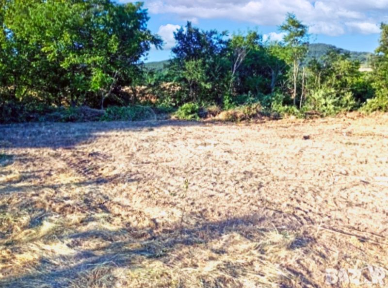 Terrain constructible de 1756 m², eau et électricité en bordure de route, village près du réservoir de Tsonevo, à 10 km de la ville de Dalgopol — photo 2