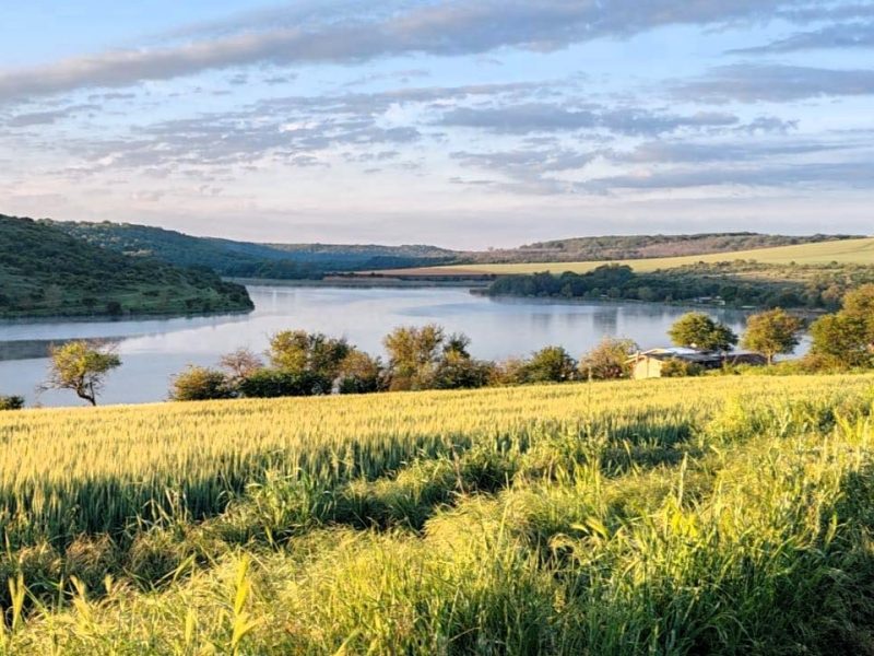 Снесенный дом, участок земли 1500 кв.м, 38 км до моря. — фото 1