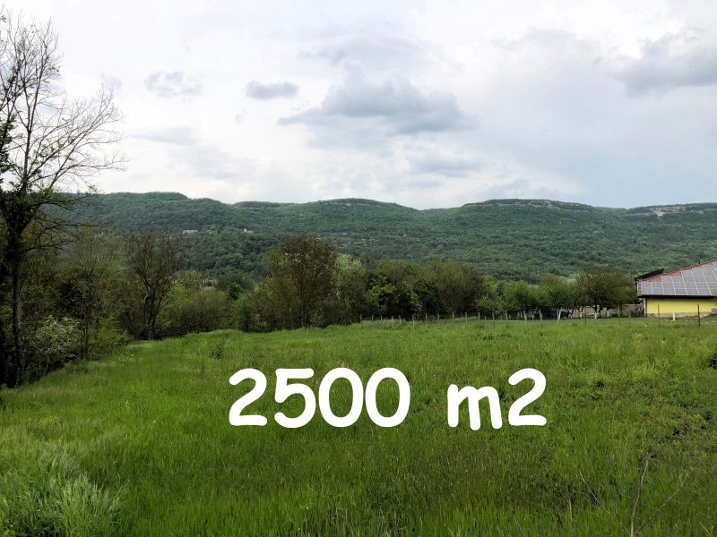Terrain constructible de 2500 m², eau et électricité disponibles en bordure de route, à 20 km de la ville de Dalgopol.