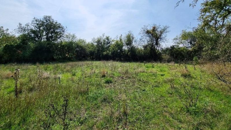 Земельный участок под застройку площадью 550 кв.м, водоснабжение и электричество на границе, 30 км до моря. — фото 2