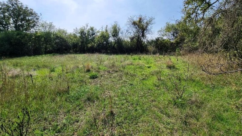 Земельный участок под застройку площадью 550 кв.м, водоснабжение и электричество на границе, 30 км до моря. — фото 3