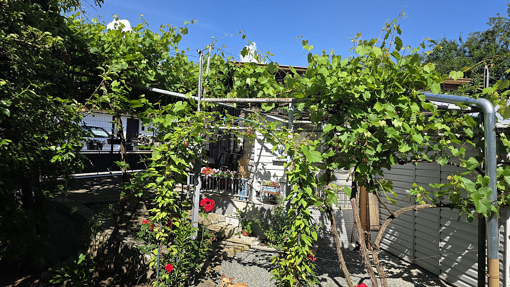 Charming Cottage with 230 sq.m. Garden Near Sofia and Pravets Golf Resort — фото 3