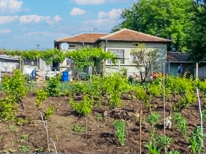 Maison meublée de 3 chambres, terrain de 1150 m², région de Dobritch — photo 2