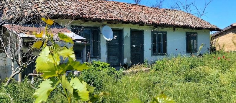 Старый дом площадью 90 кв.м, участок земли 1450 кв.м, действующая фотоэлектрическая электростанция, 12 км до Добрича, 52 км до моря. — фото 3