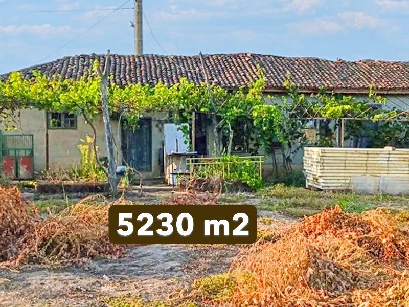 Дом 80 кв.м., участок 5230 кв.м., окраина села, до города Генерал Тошево 35 км. — фото 1