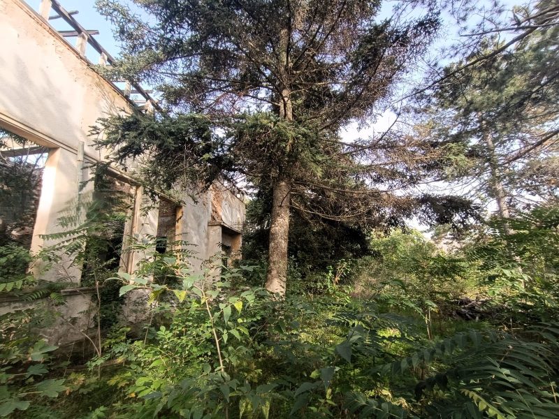 Terrain constructible de 4470 m², maison démolie, à 25 km de la mer — photo 2