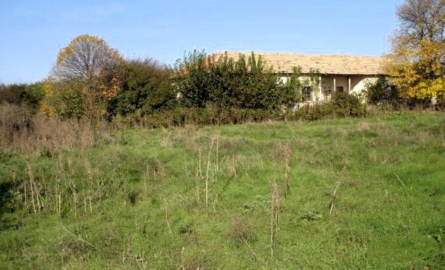 269 sqm building, 7345 sqm land, desired village, 1 km to sea — photo 2