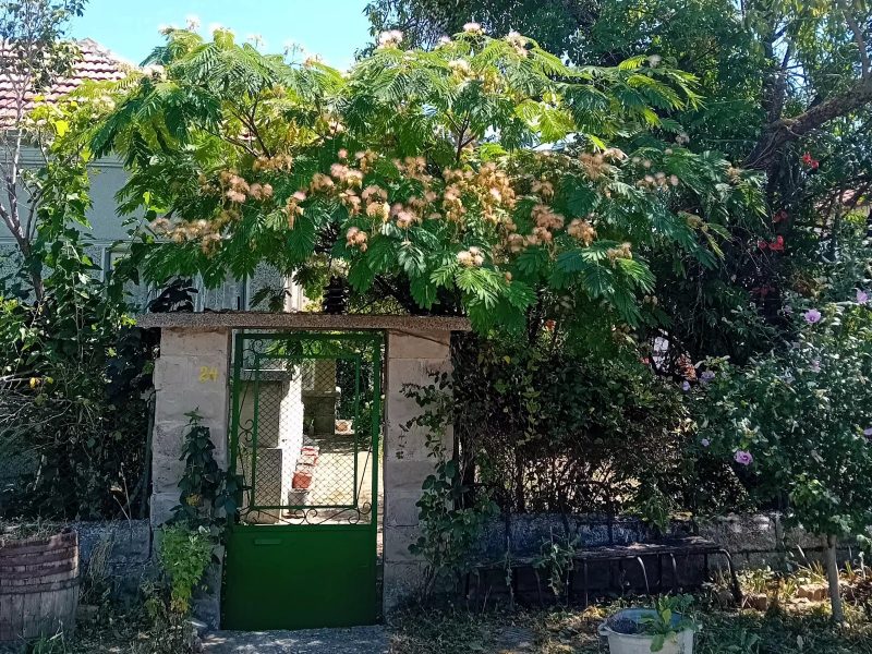 2 дома, участок 1730 кв.м, большой поселок, 52 км до моря. — фото 1