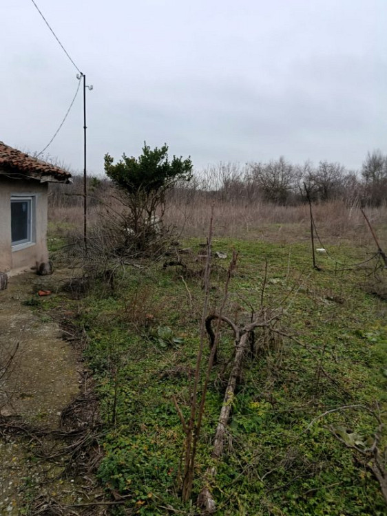 Старый дом площадью 80 кв.м., требующий ремонта, земельный участок 2526 кв.м., желаемый населенный пункт, 7 км до моря, 10 км до города Шабла. — фото 2