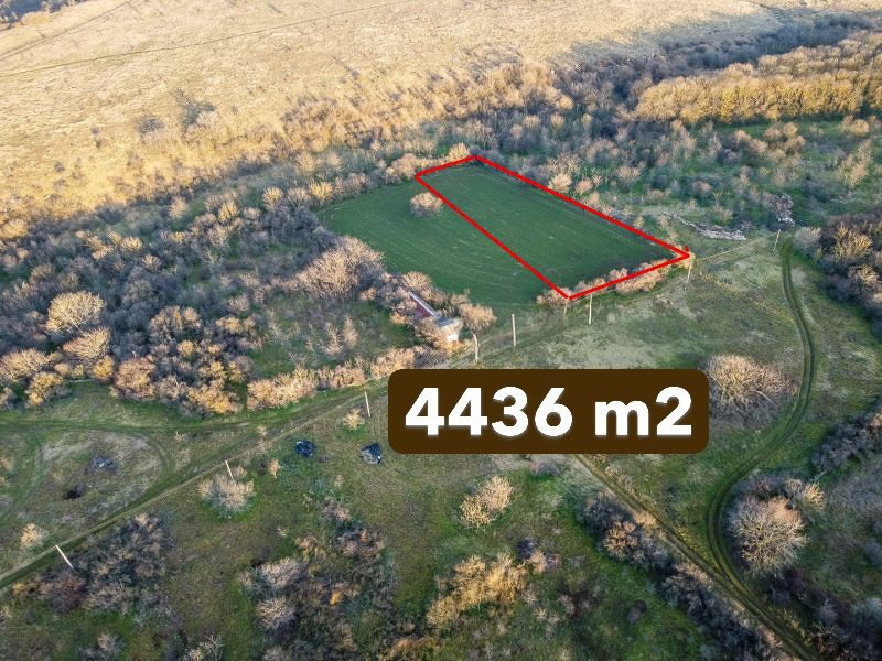 Земельный участок площадью 4436 кв. м, 18 км до моря. — фото 1