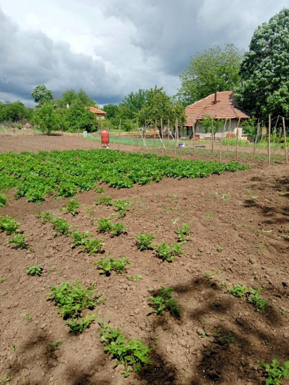 Maison de 80 m², terrain de 2 800 m², à 25 km de la ville de Svishtov et du Danube. — photo 3