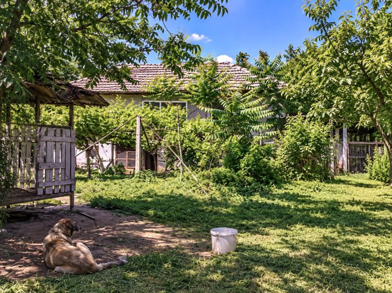 Maison de 100 m² à rénover, terrain de 1700 m², à 15 km de la ville de Polski Trambesh — photo 2