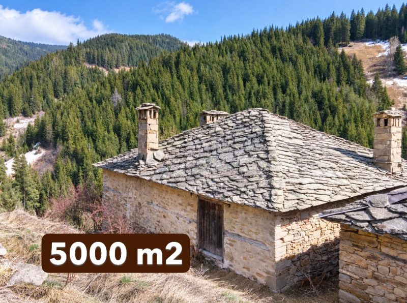 Каменный дом площадью 130 кв.м, каменный сарай площадью 100 кв.м, участок площадью 5000 кв.м, живописные виды, Родопские горы. — фото 2