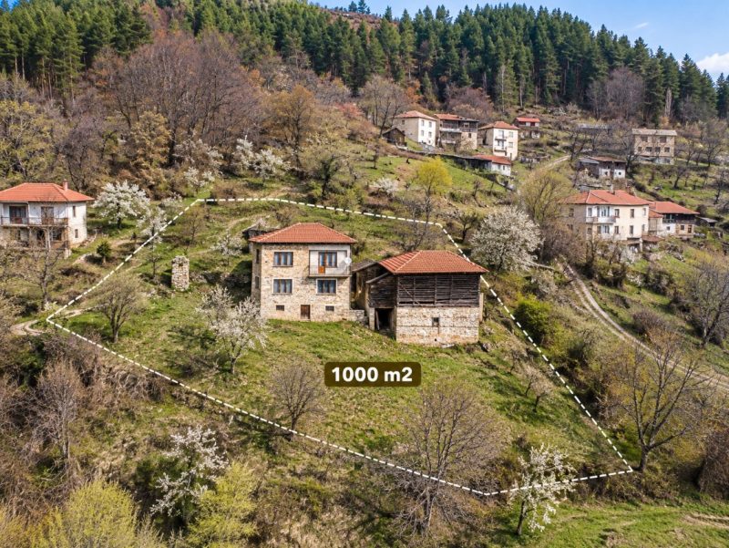 Каменный дом площадью 110 кв.м, сад 1000 кв.м, живописный вид. — фото 1