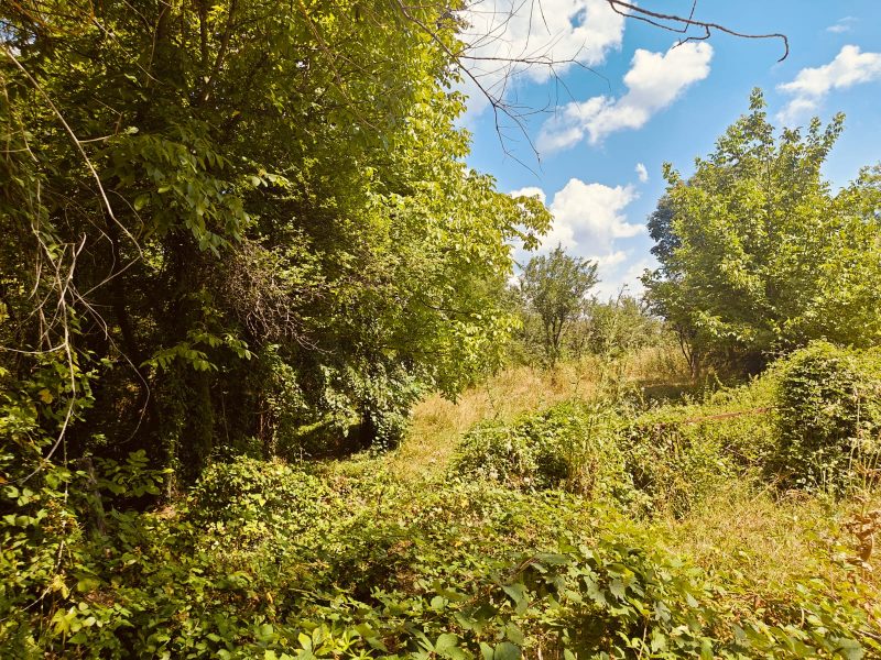 Terrain à bâtir de 3050 m² dans un village pittoresque à 45 km de la ville de Lovech