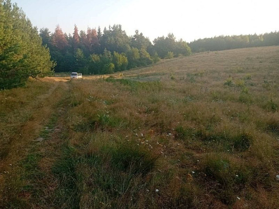 Ровный участок площадью 2711 м² рядом с сосновым лесом в Риле, между Боровцем и Малёвицей.